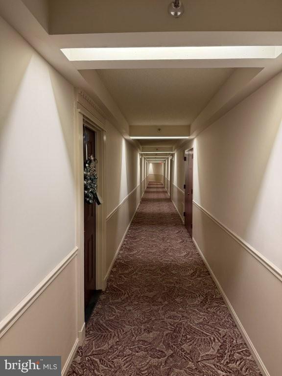 15101 Interlachen Dr #1-124 Property Photo 4