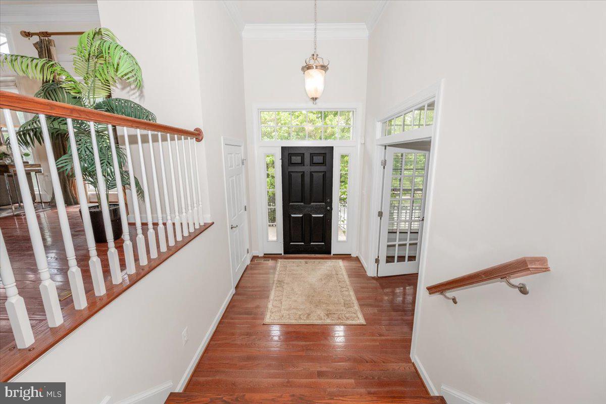 11117 Potomac Oaks Dr Property Photo 3