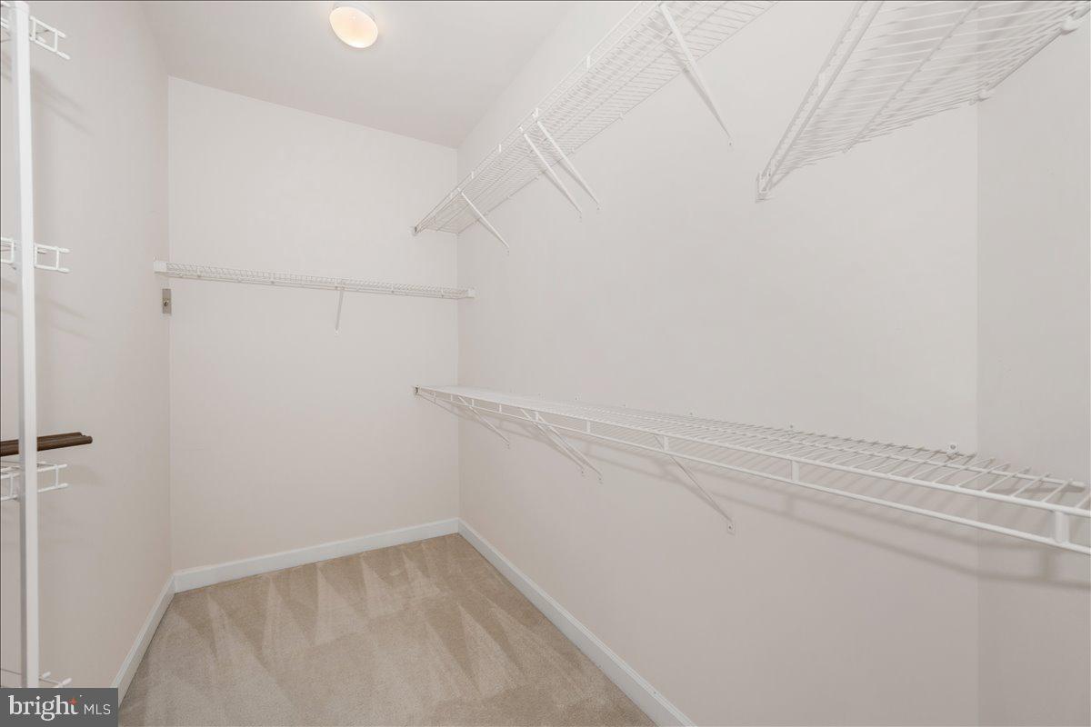 11117 Potomac Oaks Dr Property Photo 51