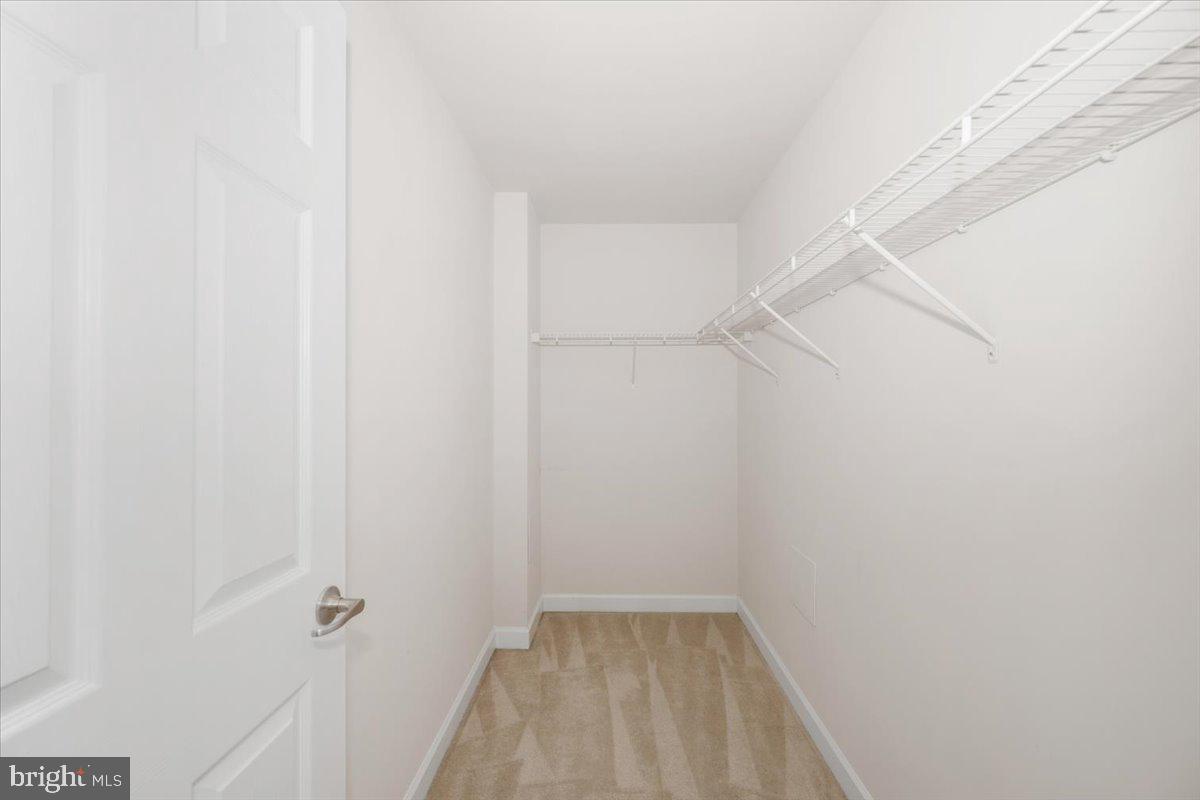 11117 Potomac Oaks Dr Property Photo 77