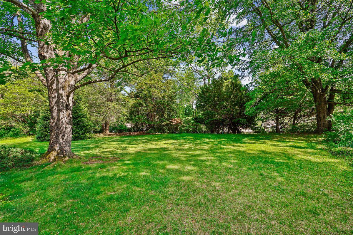 1421 Morningside Dr Property Photo 44