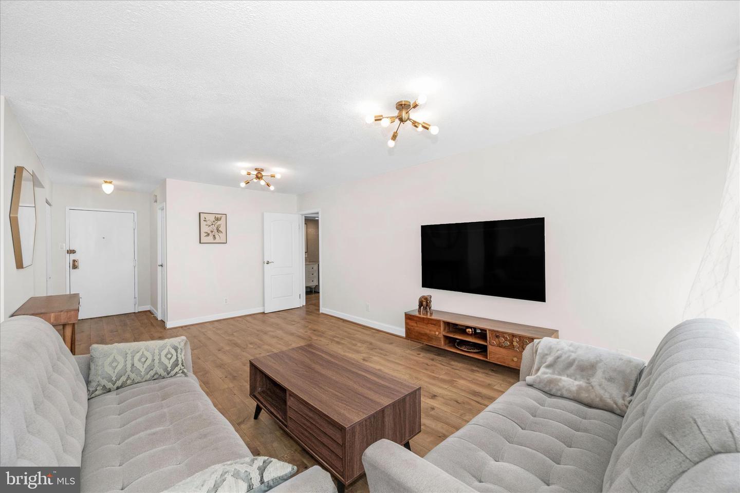 11801 Rockville Pike #508 Property Photo 17