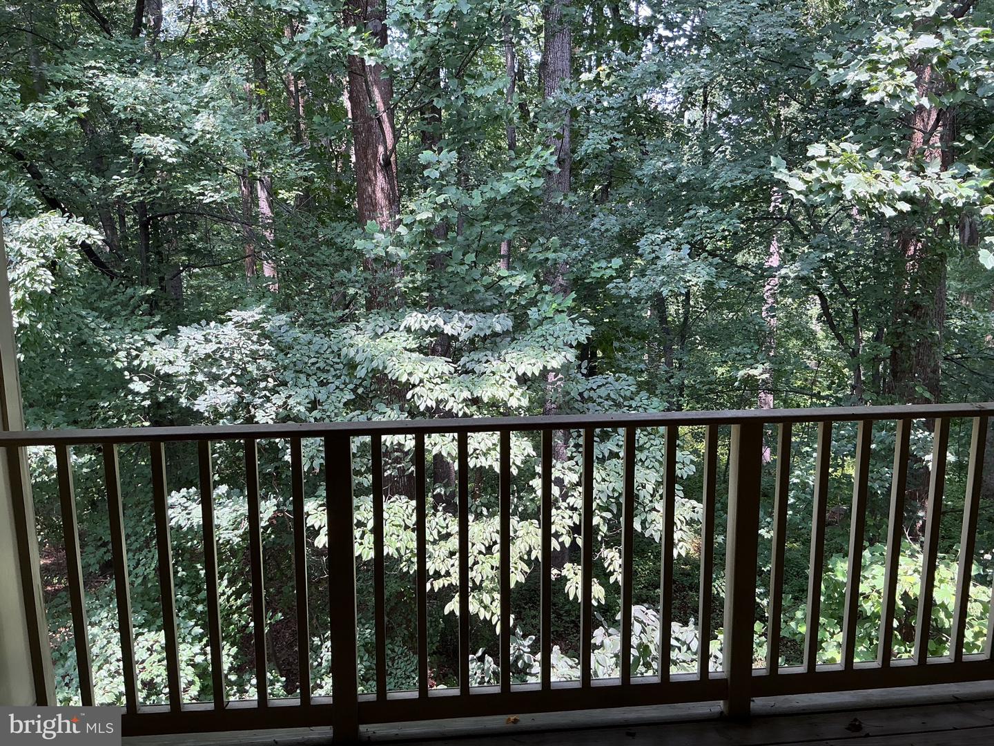 127 Timberbrook Ln #202 Property Photo 35