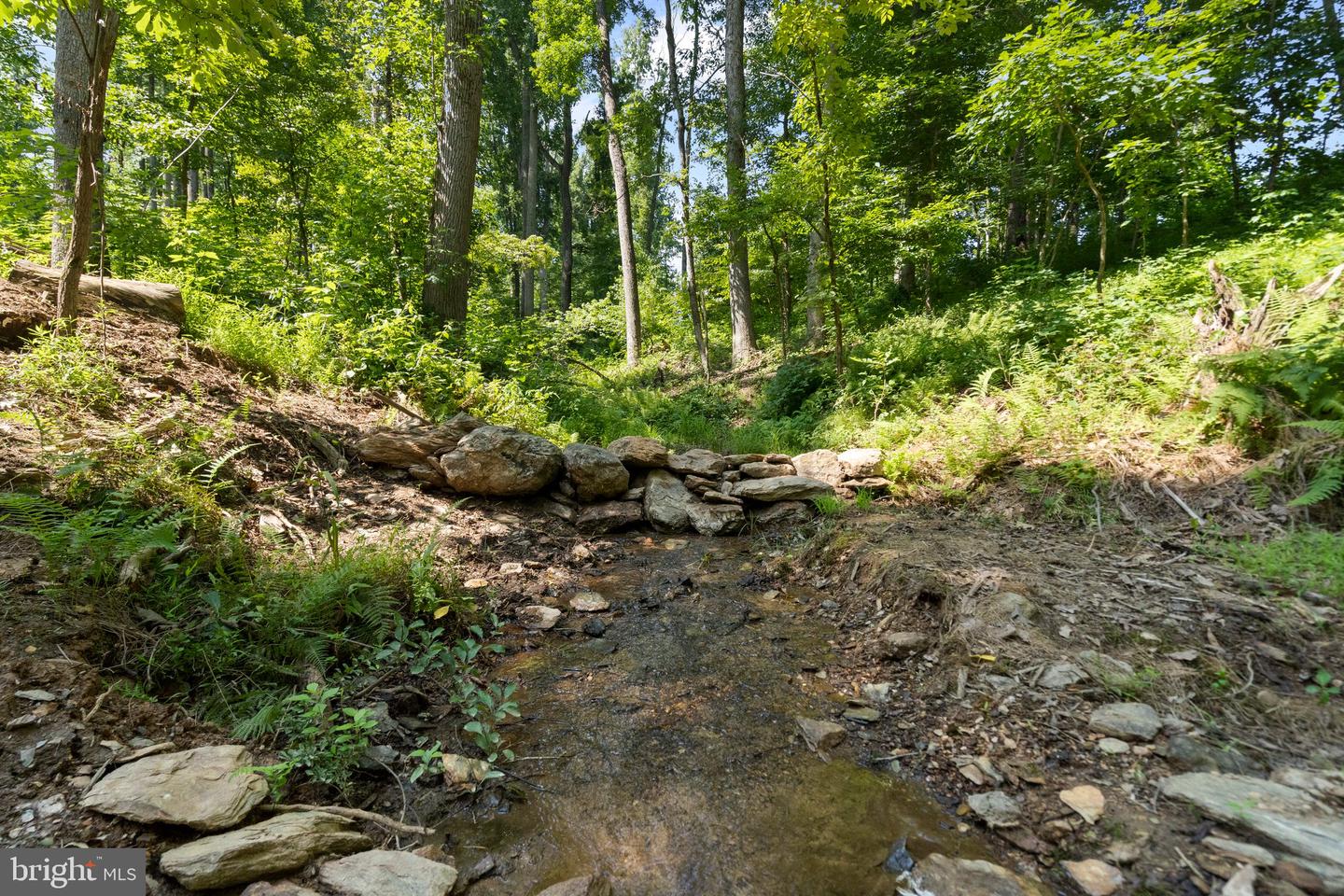 22015 Wildcat Rd Property Photo 8
