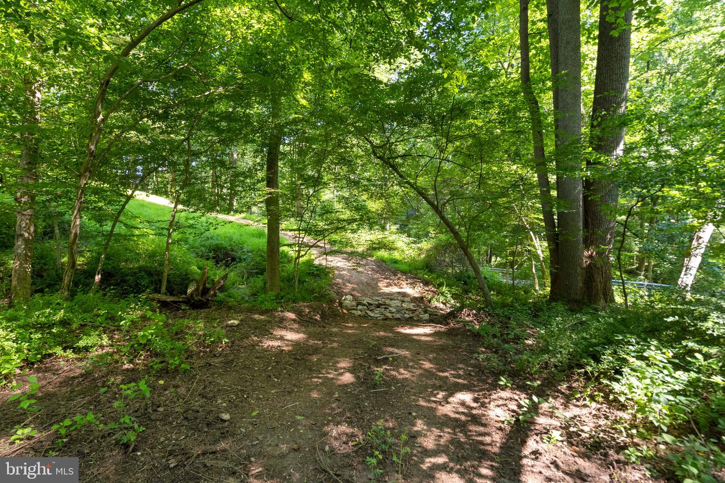 22015 Wildcat Rd Property Photo 12