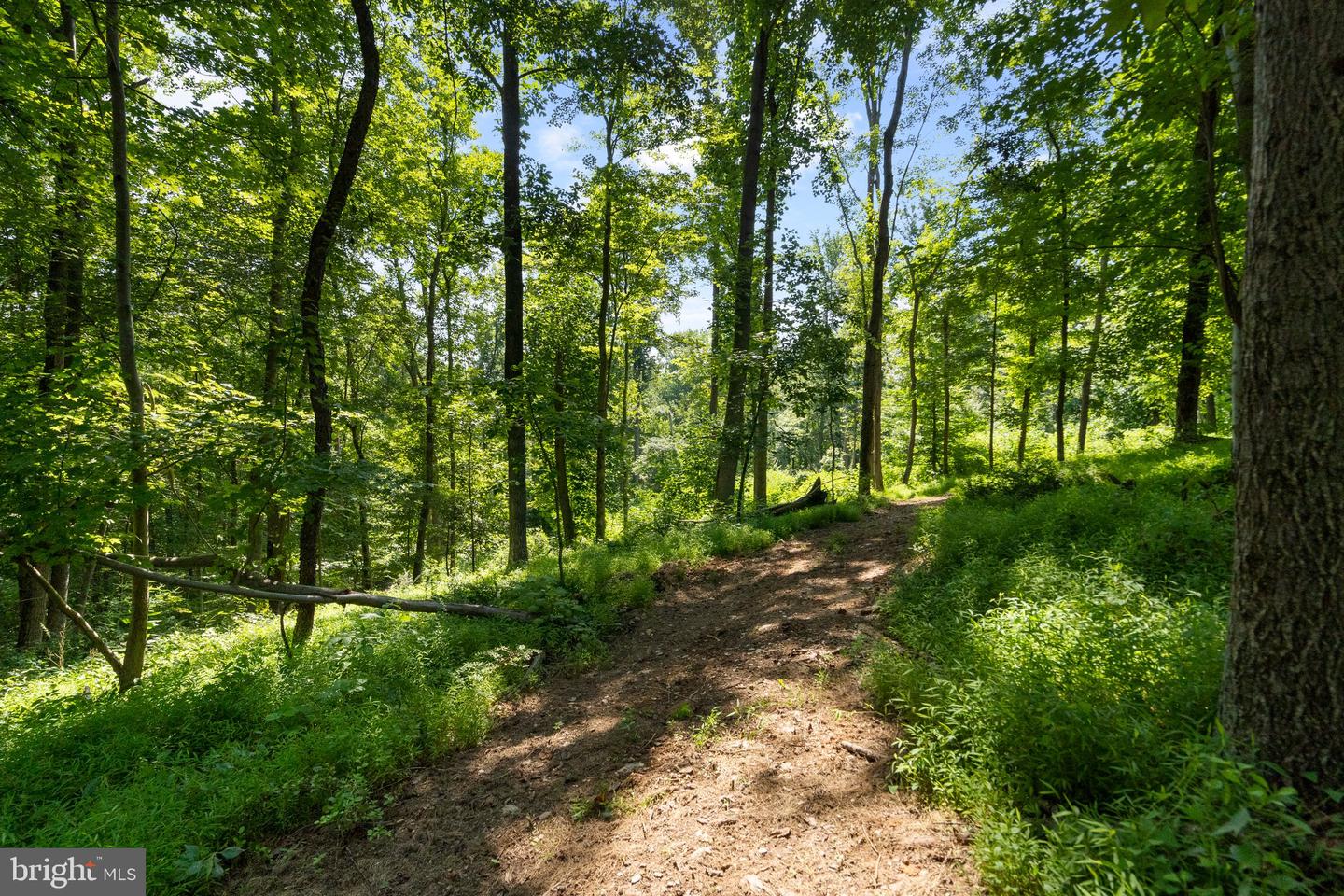 22015 Wildcat Rd Property Photo 13