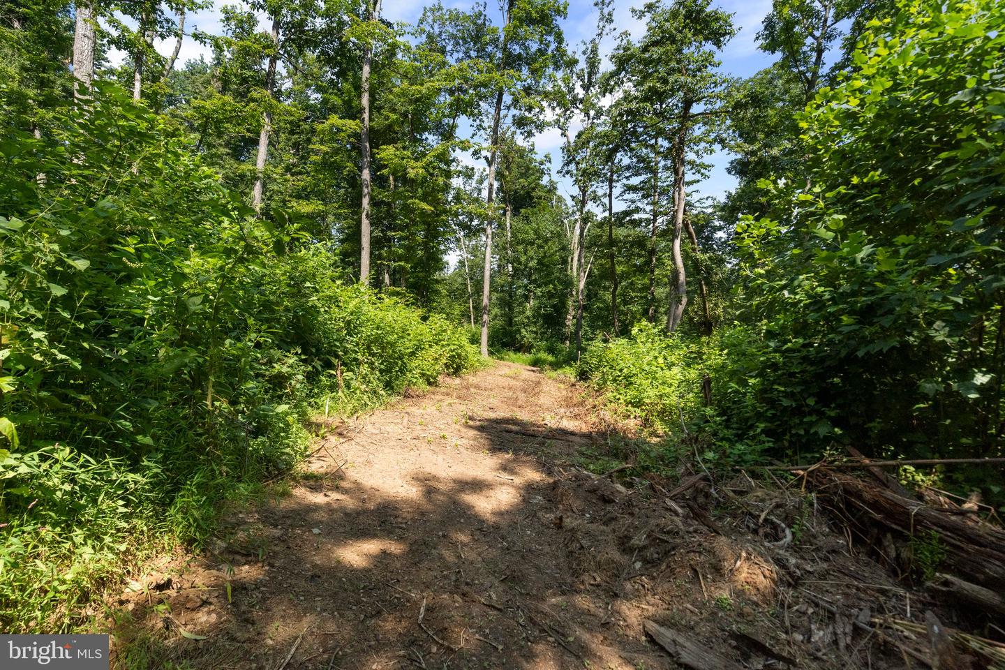22015 Wildcat Rd Property Photo 14