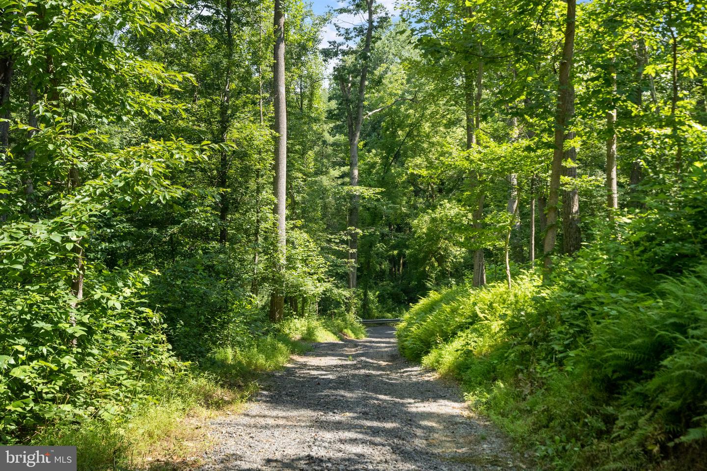 22015 Wildcat Rd Property Photo 15