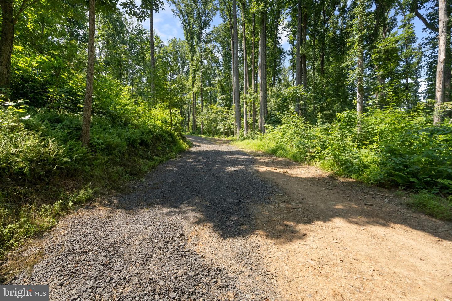 22015 Wildcat Rd Property Photo 16