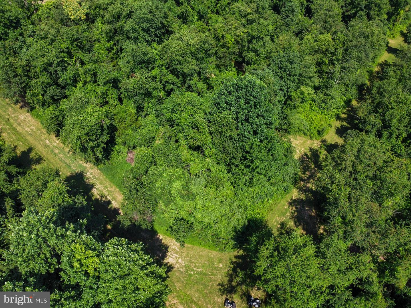 22015 Wildcat Rd Property Photo 18
