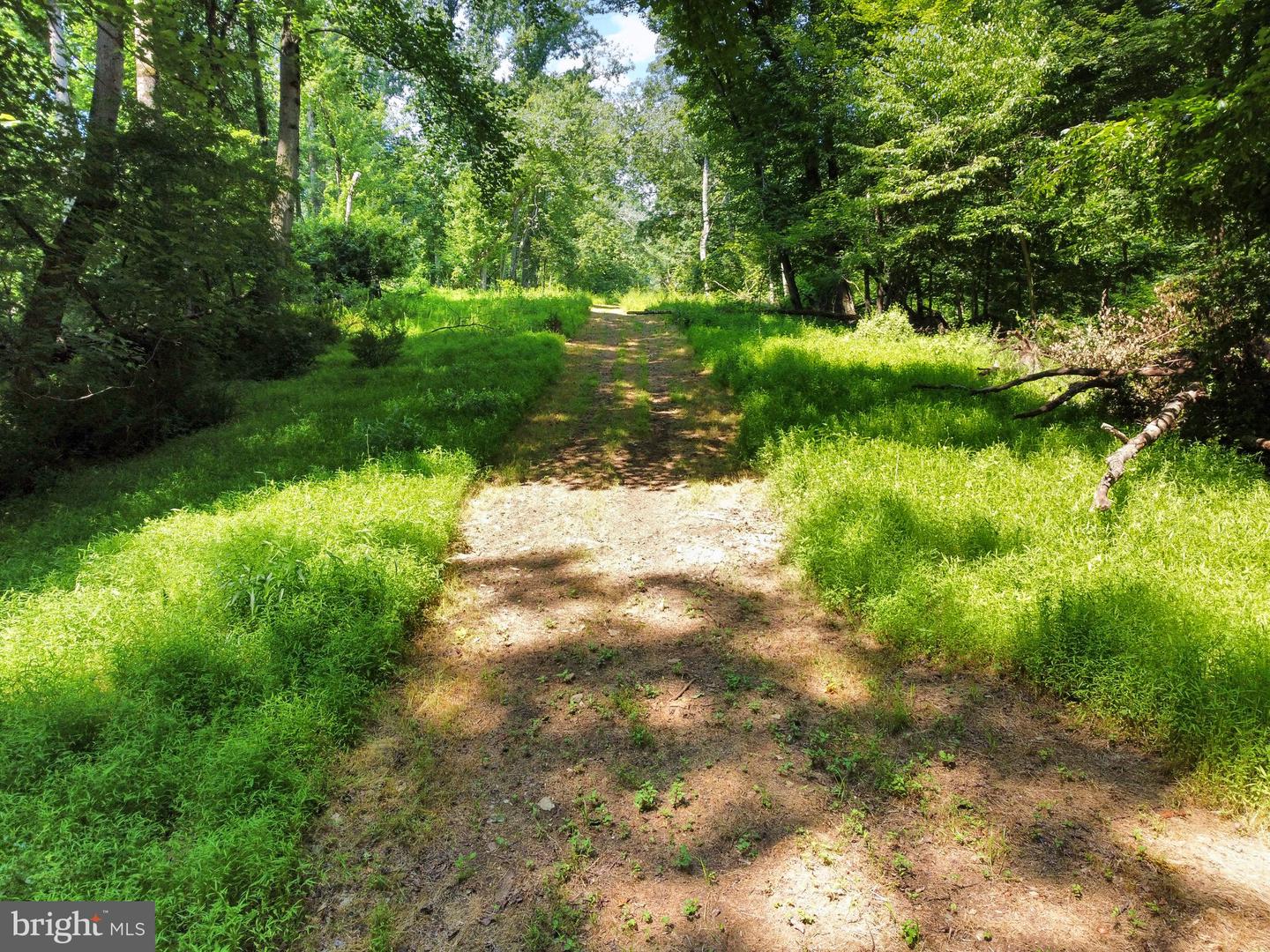 22015 Wildcat Rd Property Photo 19