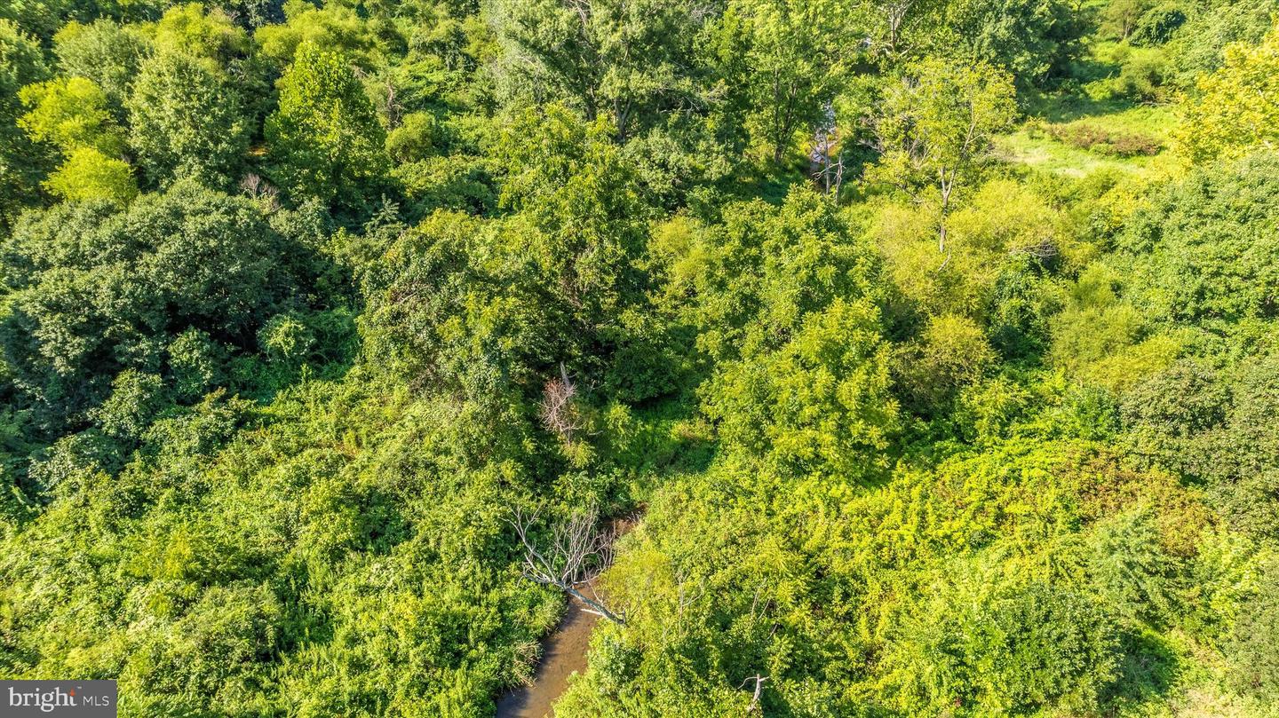 19101 Darnestown Property Photo 24
