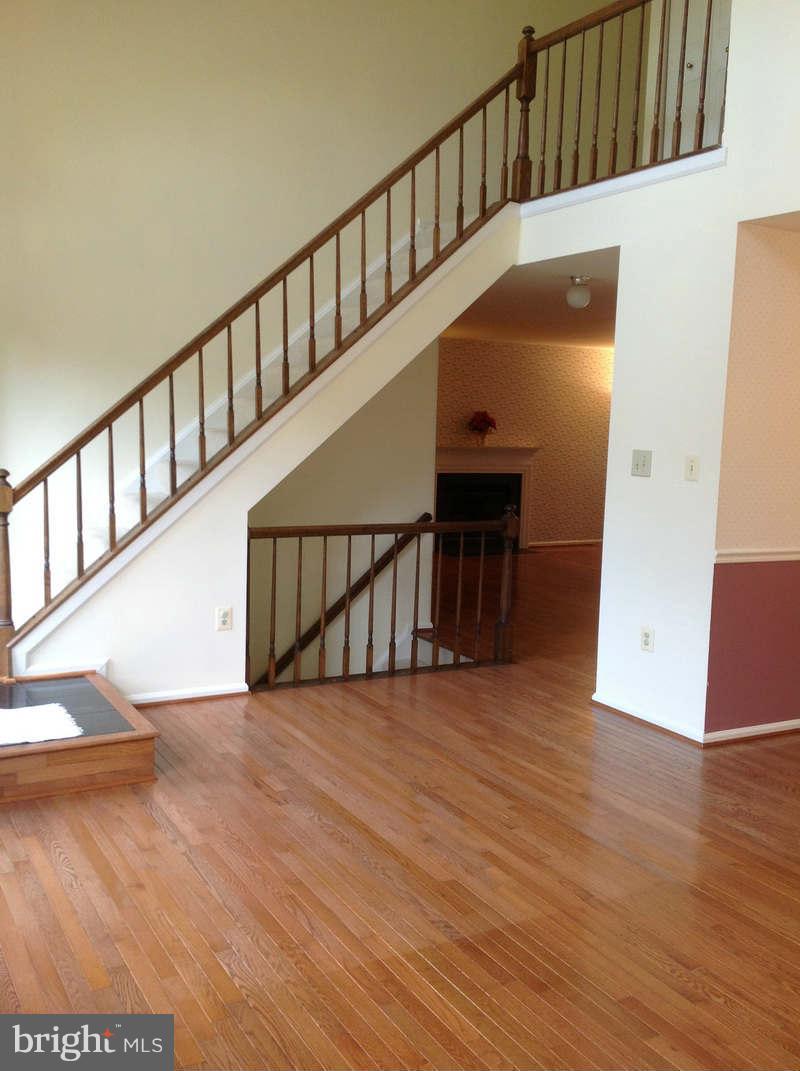 11624 Bootjack Ct Property Photo 2