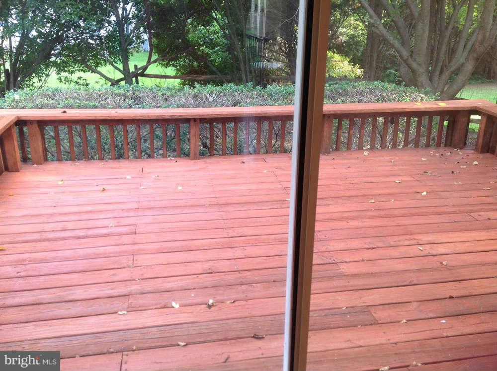 11624 Bootjack Ct Property Photo 10