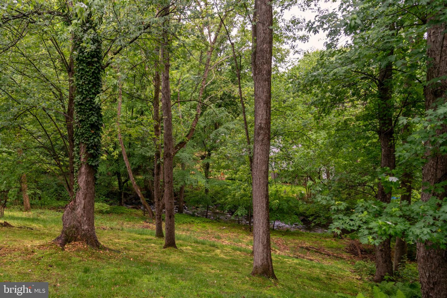 14010 Flint Rock Rd Property Photo 60
