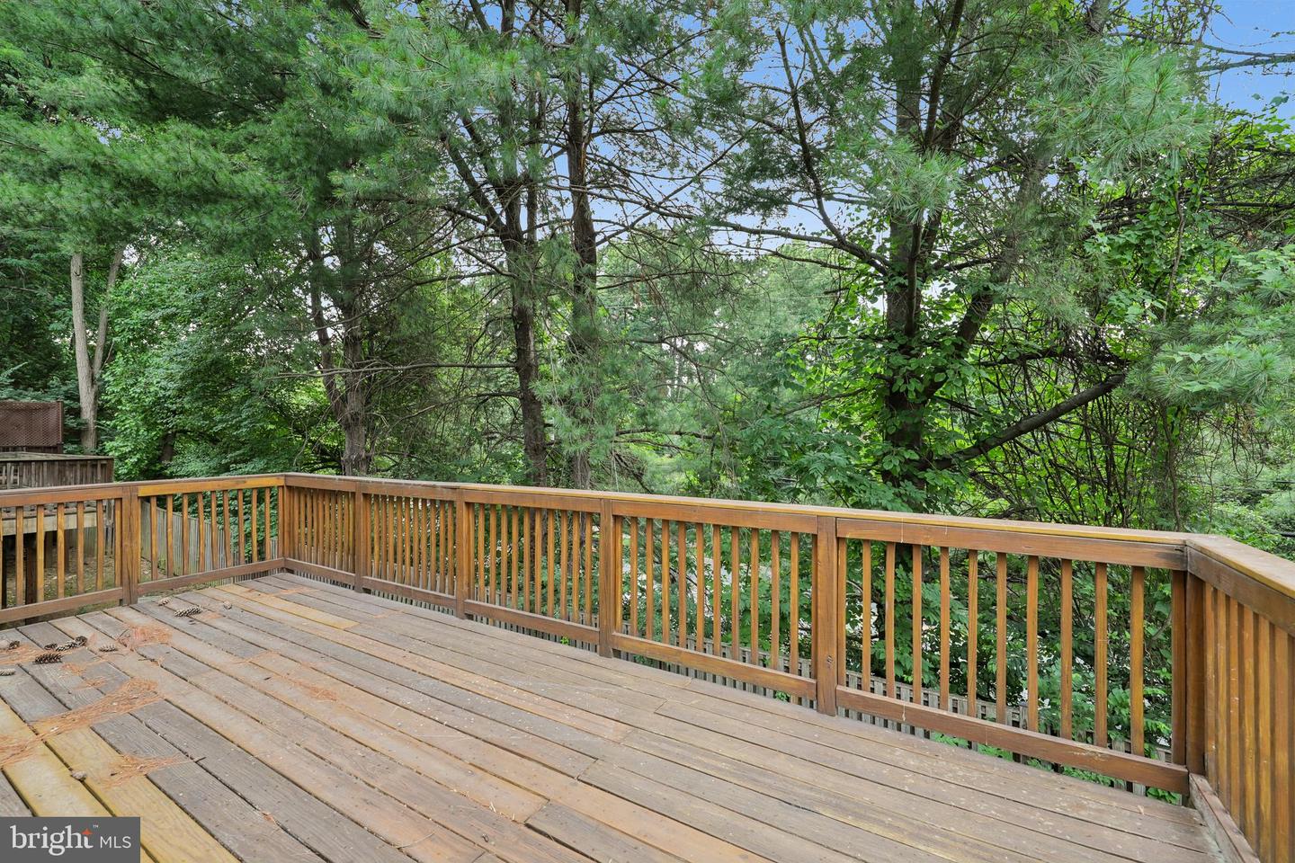 10739 Mist Haven Ter Property Photo 29