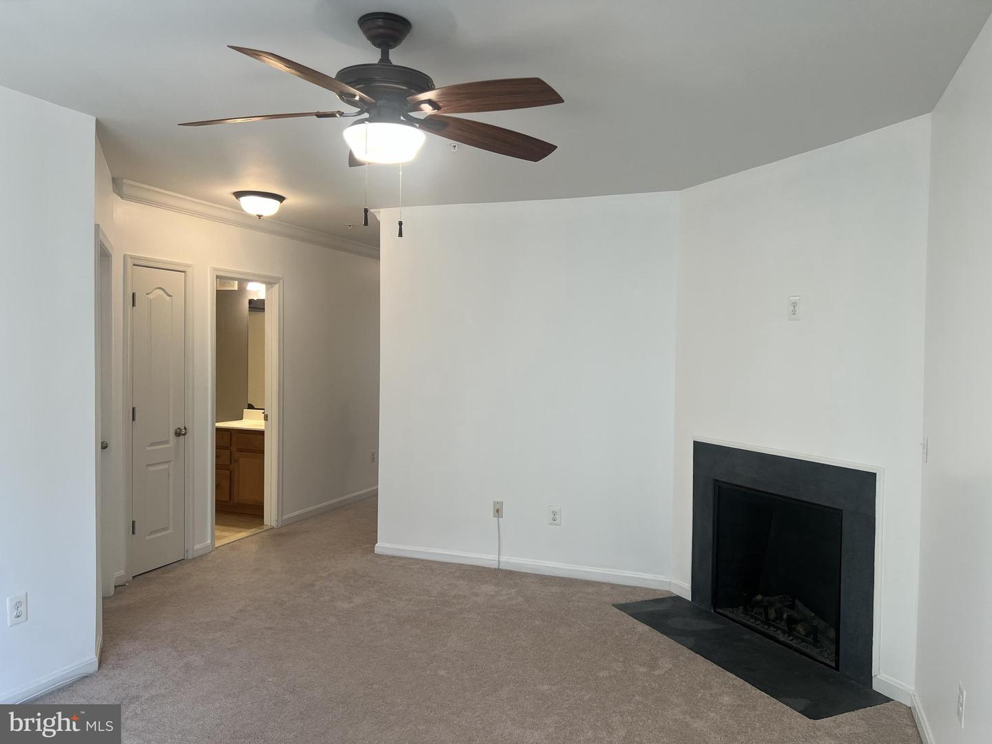 11964 Little Seneca Pkwy #2561 Property Photo 34