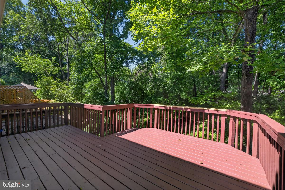 11348 Baroque Rd Property Photo 15