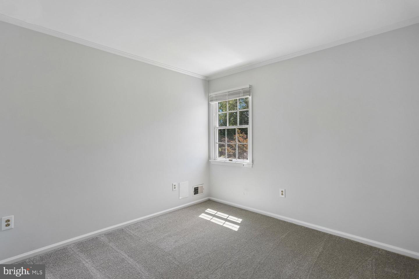 10909 Citreon Ct Property Photo 34