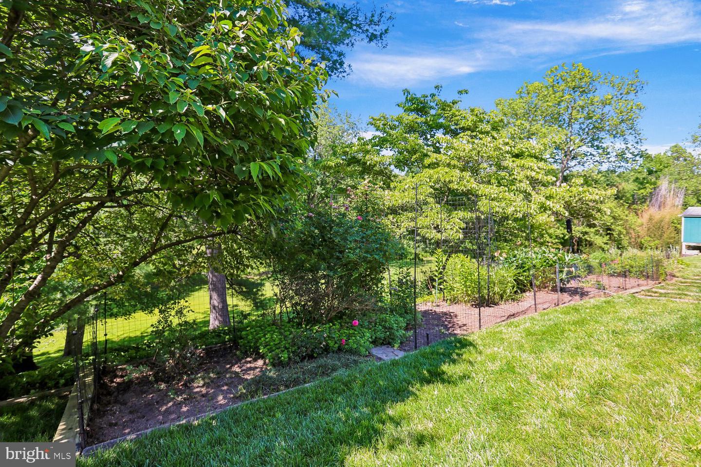 10909 Citreon Ct Property Photo 60