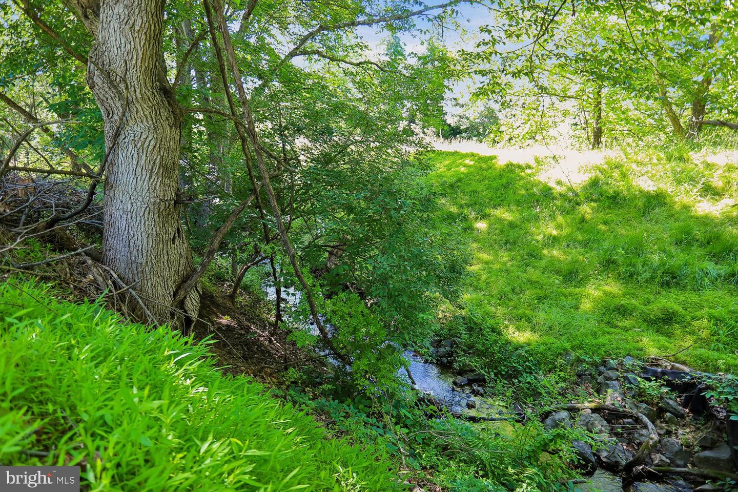 10909 Citreon Ct Property Photo 63