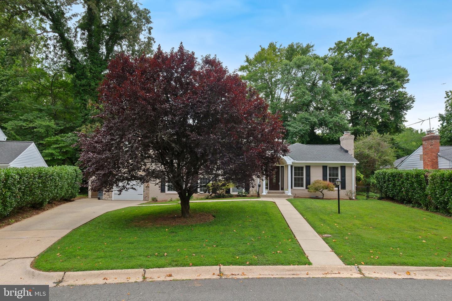 7531 Cayuga Ave Property Photo 37