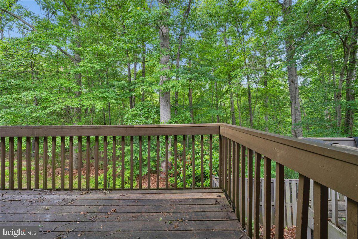 10113 Maple Leaf Dr Property Photo 10