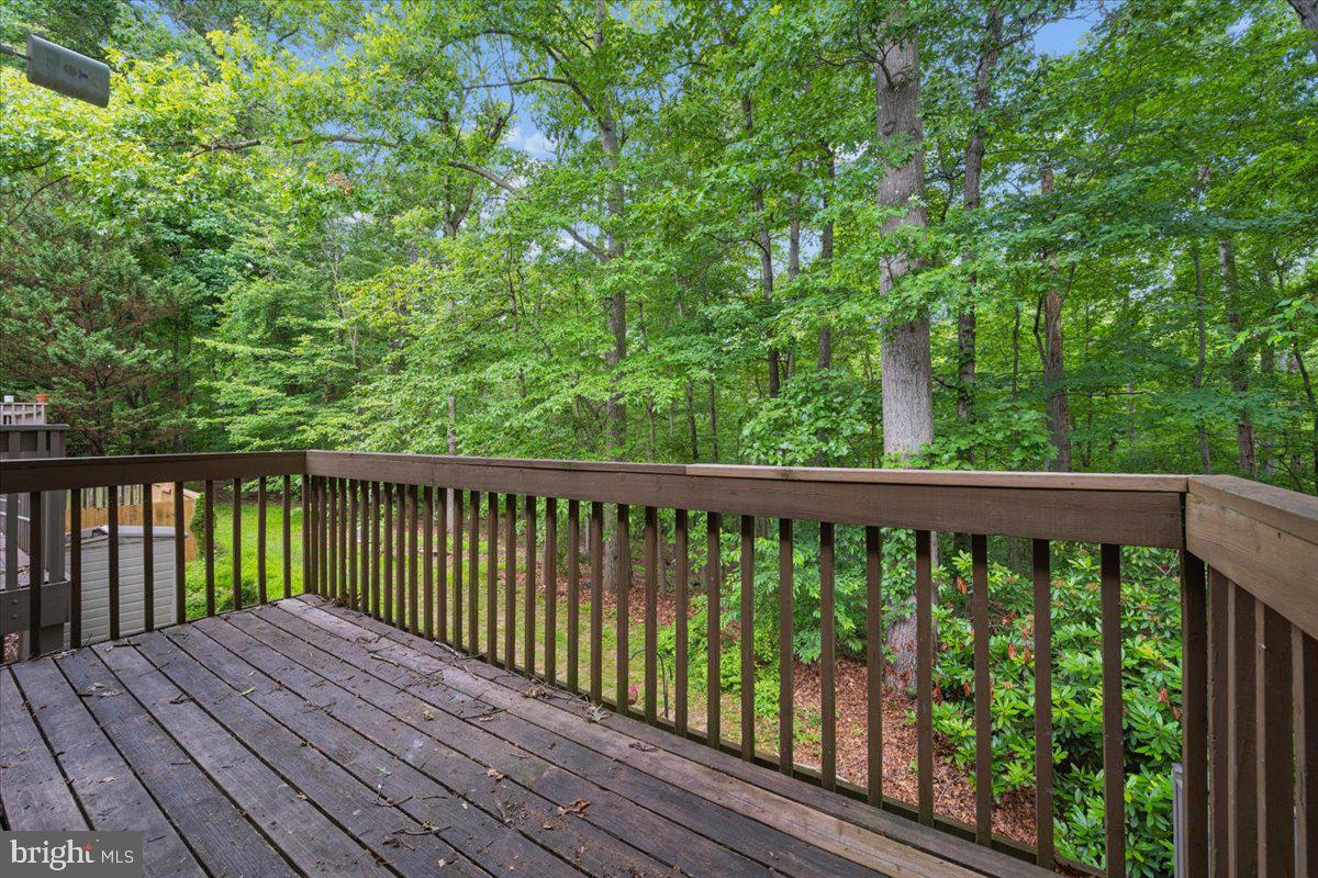 10113 Maple Leaf Dr Property Photo 11