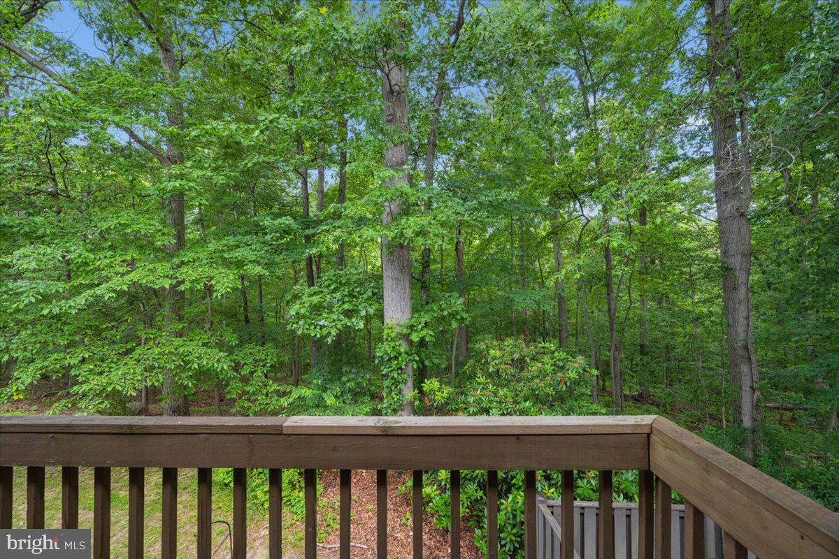 10113 Maple Leaf Dr Property Photo 14