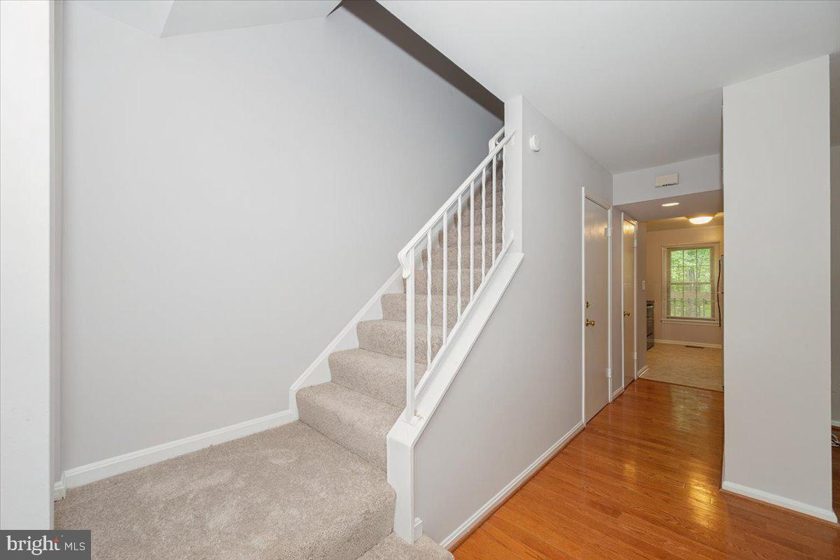10113 Maple Leaf Dr Property Photo 22