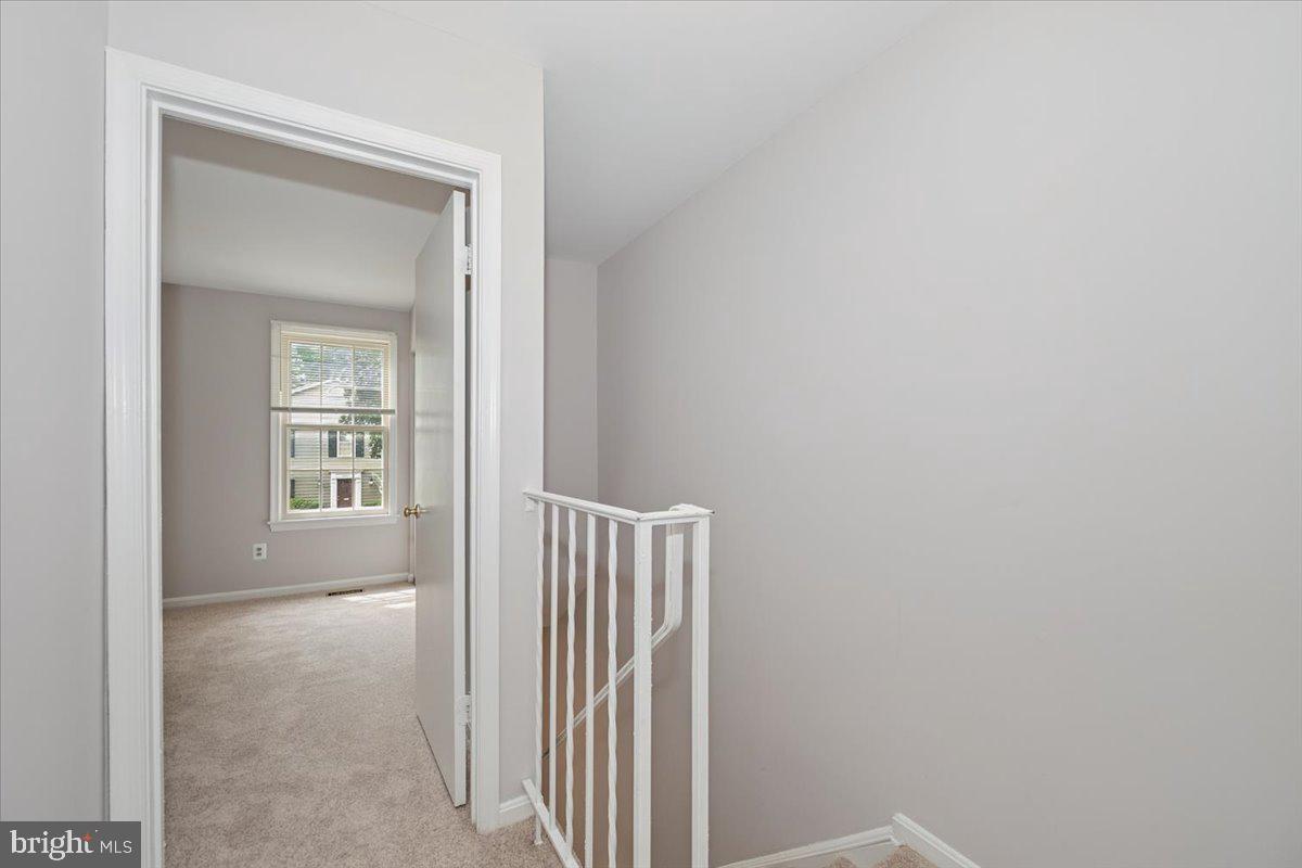 10113 Maple Leaf Dr Property Photo 23