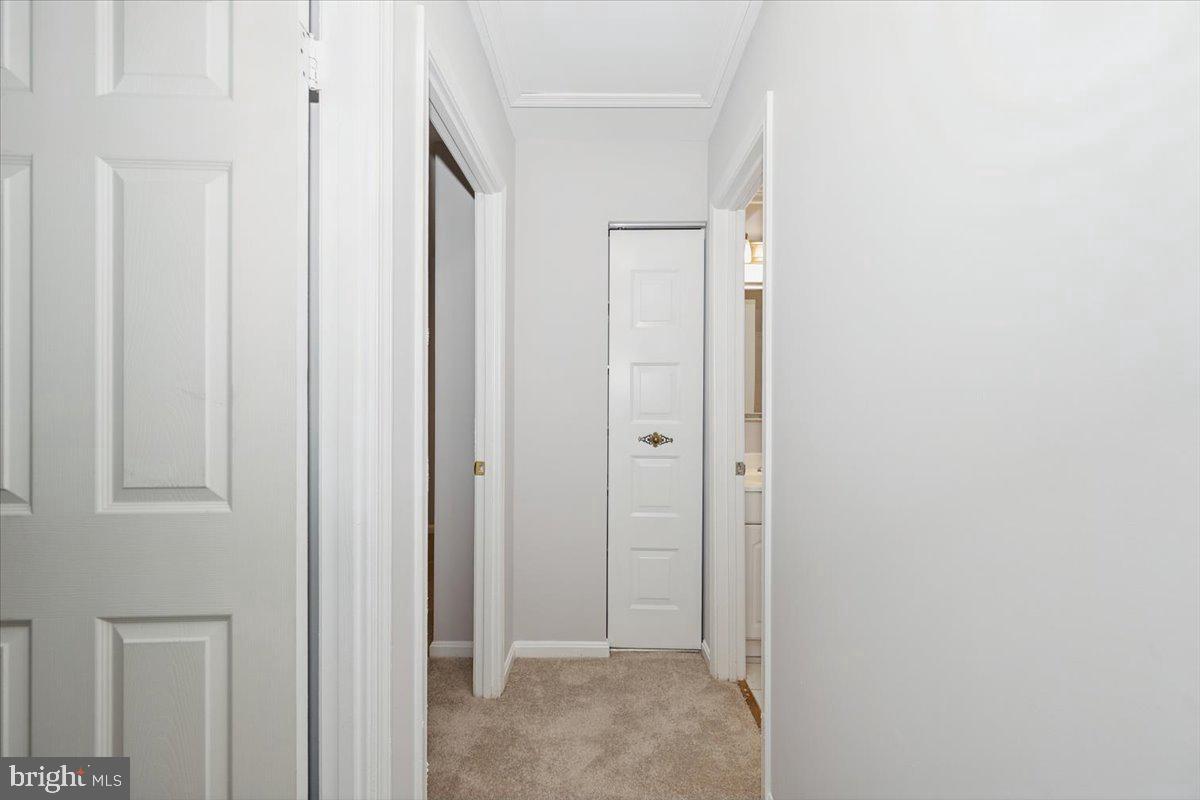 10113 Maple Leaf Dr Property Photo 29