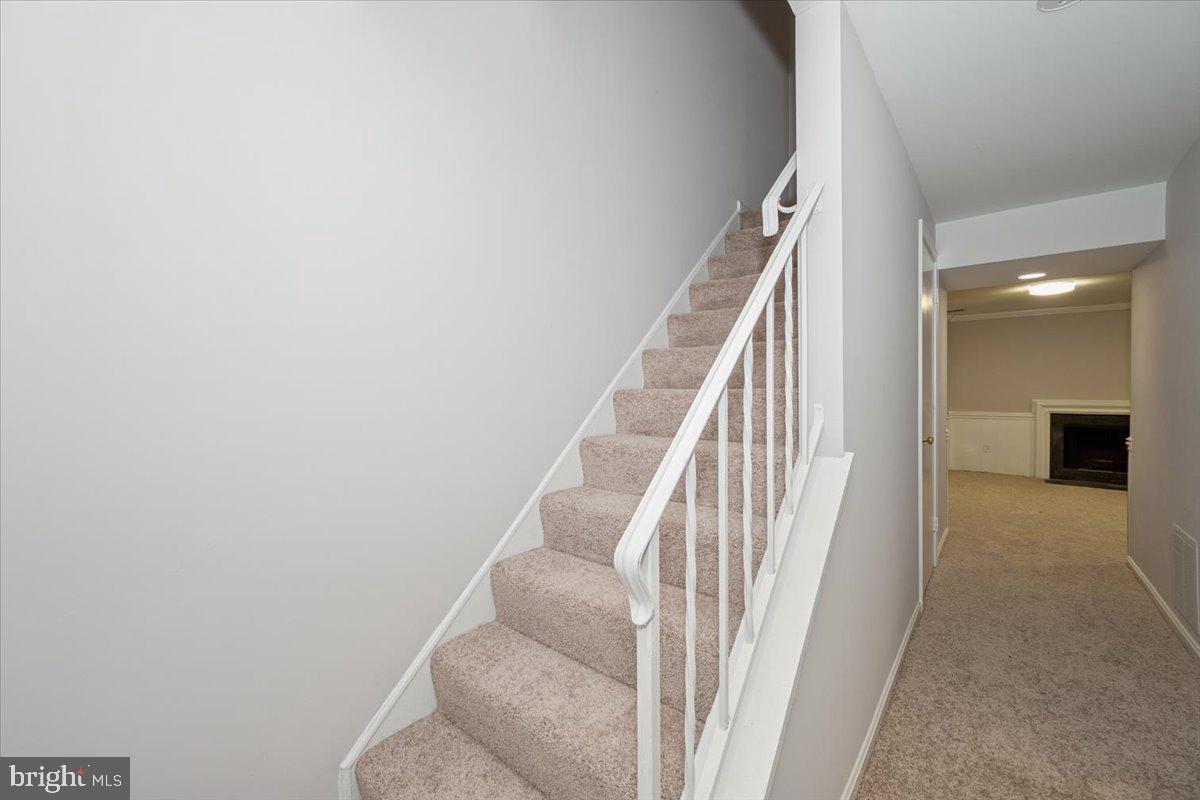 10113 Maple Leaf Dr Property Photo 35
