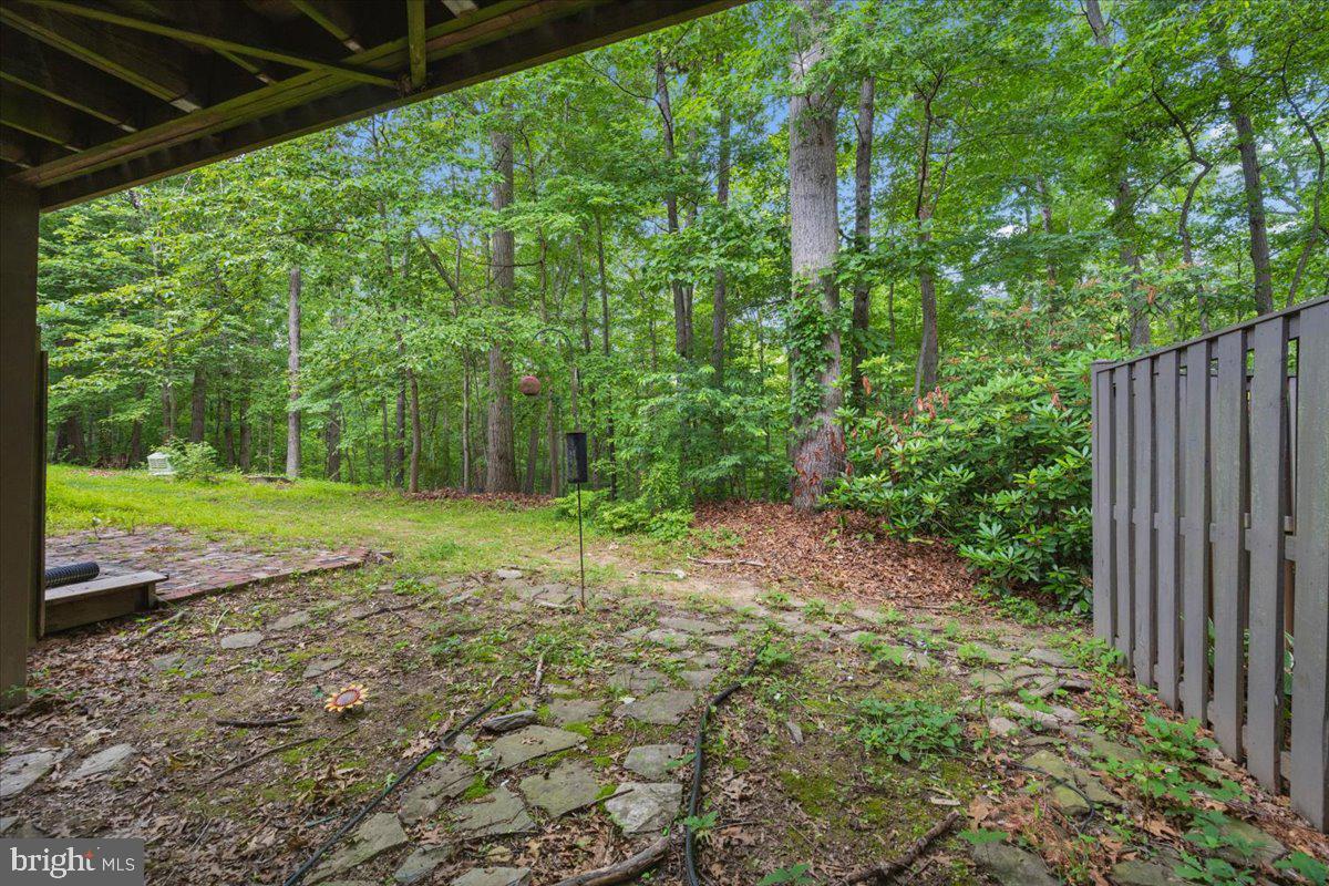 10113 Maple Leaf Dr Property Photo 48
