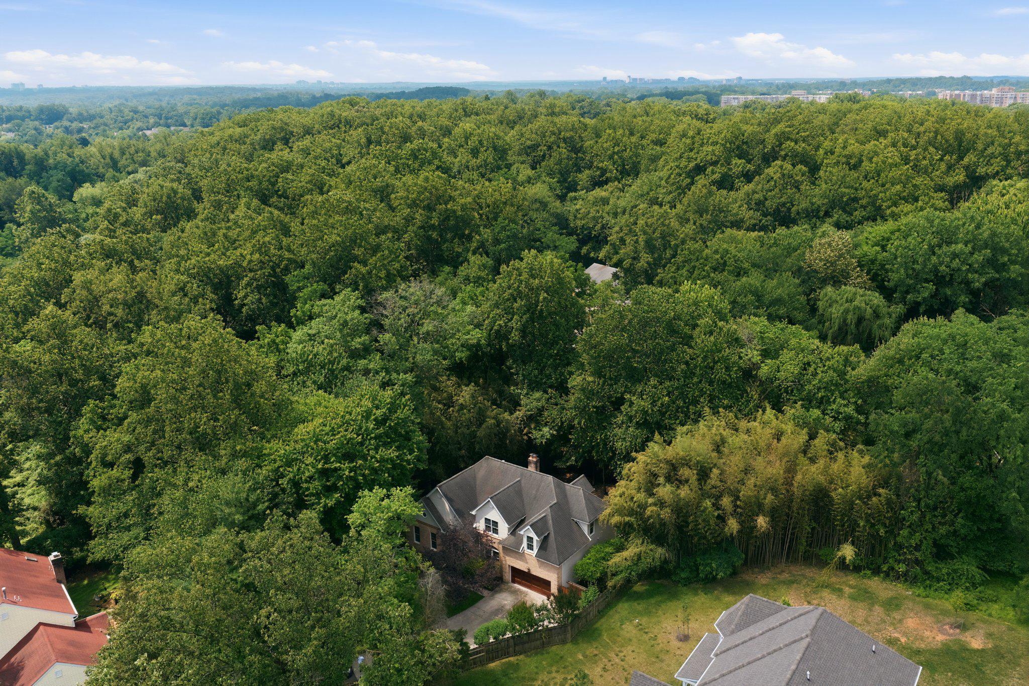 15802 Radwick Ln Property Photo 51