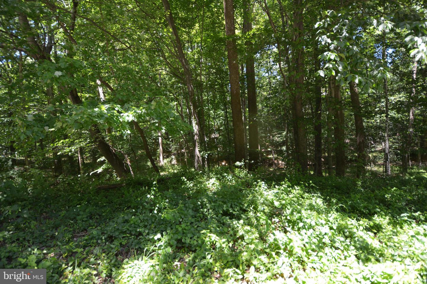 Democracy Blvd Property Photo 2