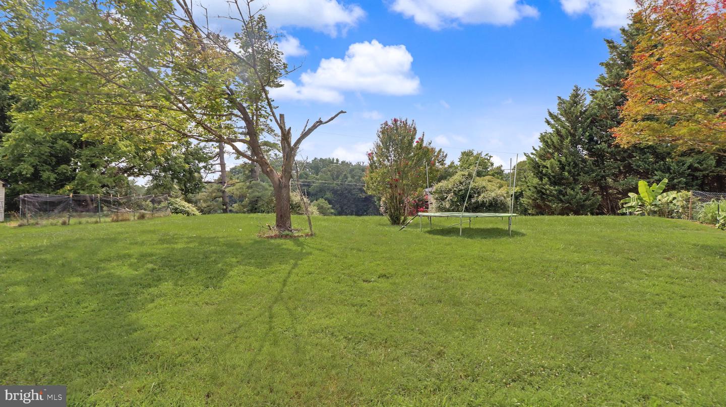 14308 Big Bear Ct Property Photo 64