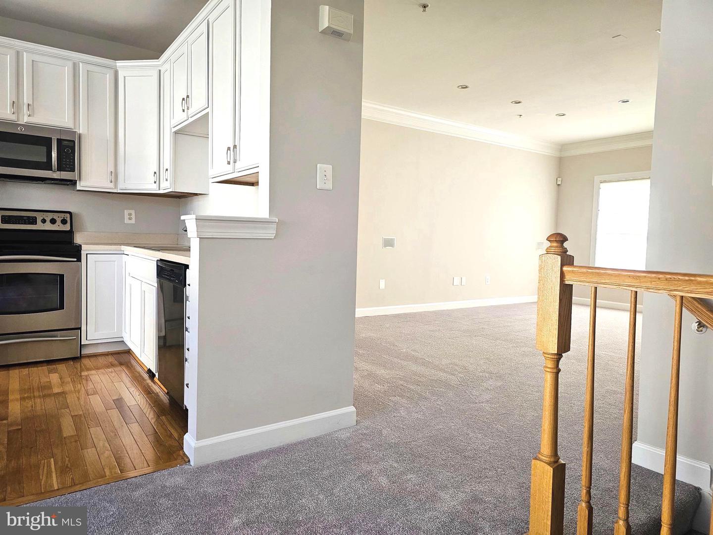 13117 Tannery Ridge Dr Property Photo 12