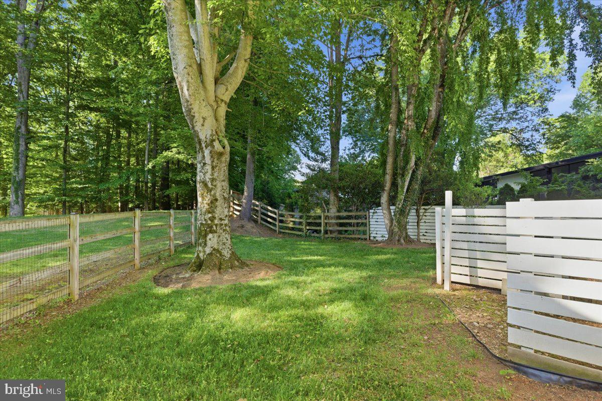 6614 Melody Ln Property Photo 61