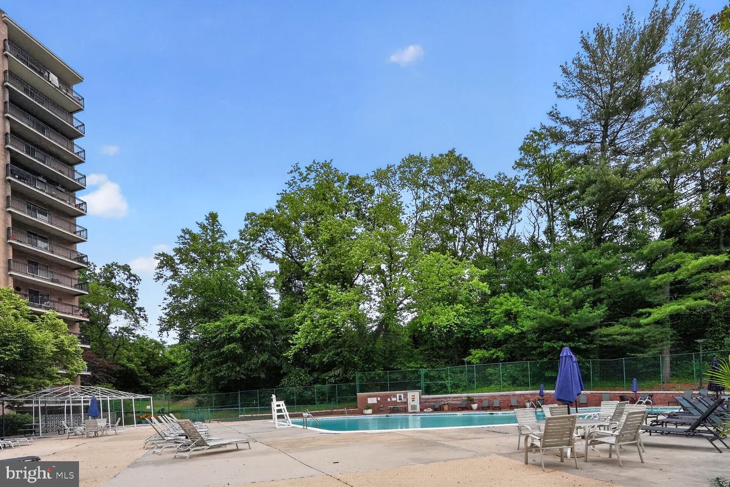 1900 Lyttonsville Rd #1217 Property Photo 12
