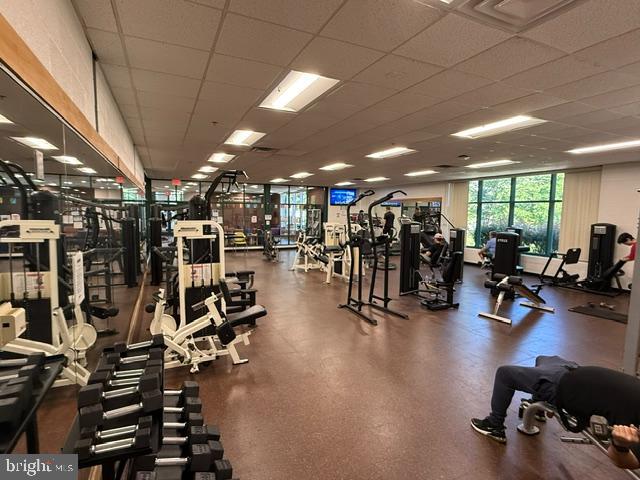 1900 Lyttonsville Rd #1217 Property Photo 21