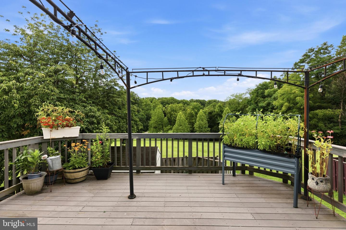 9583 White Pillar Ter Property Photo 39