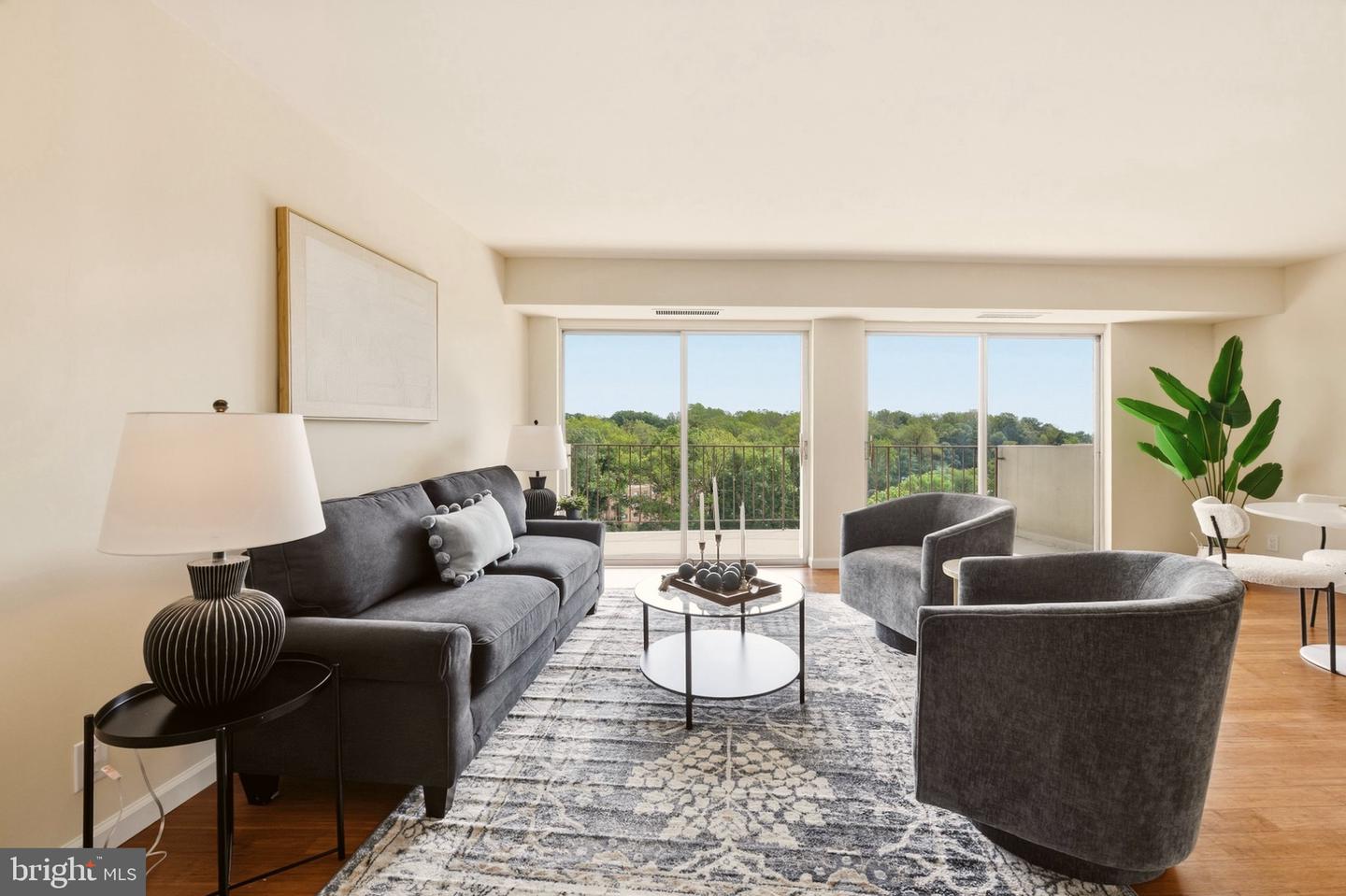 9039 Sligo Creek Pkwy #1210 Property Photo 10