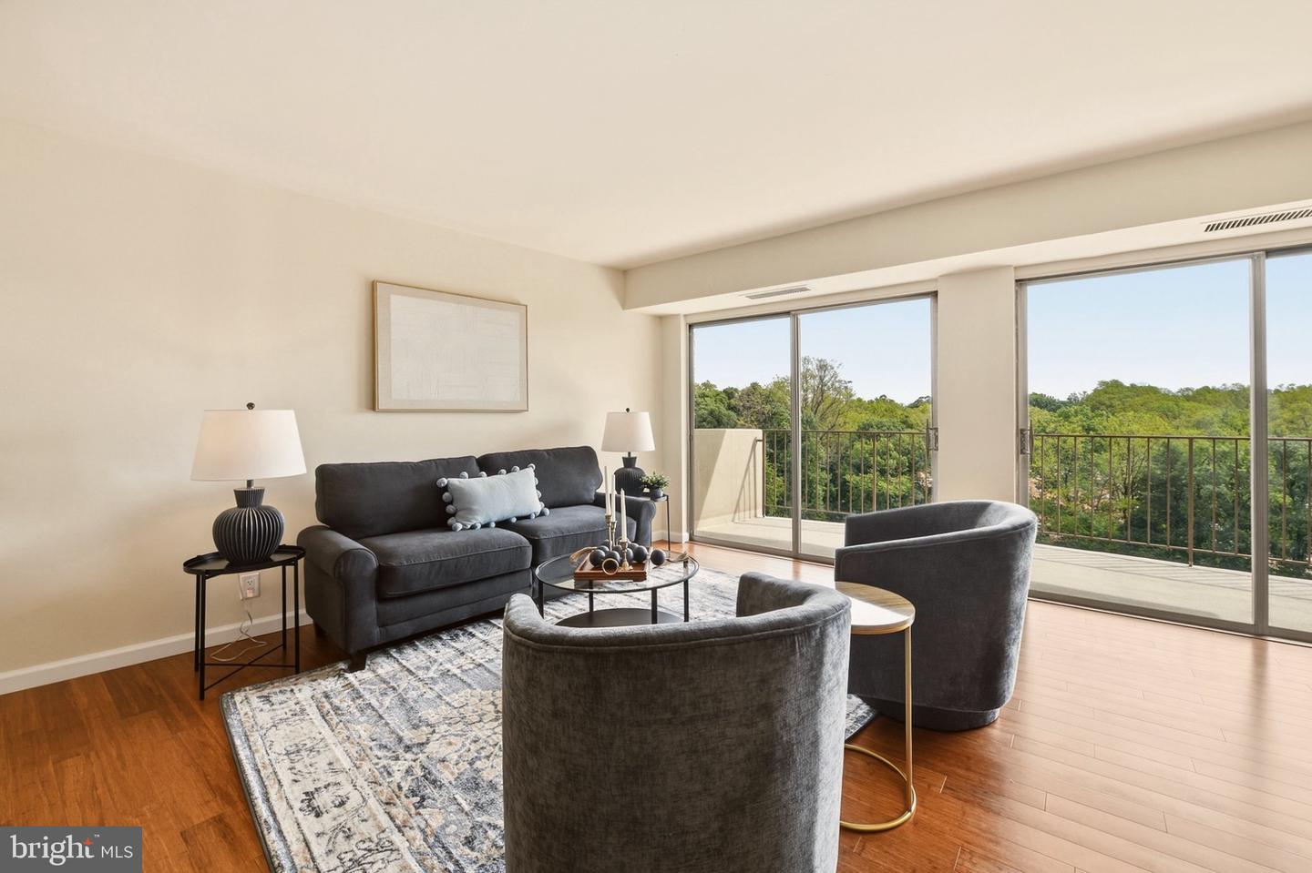 9039 Sligo Creek Pkwy #1210 Property Photo 11