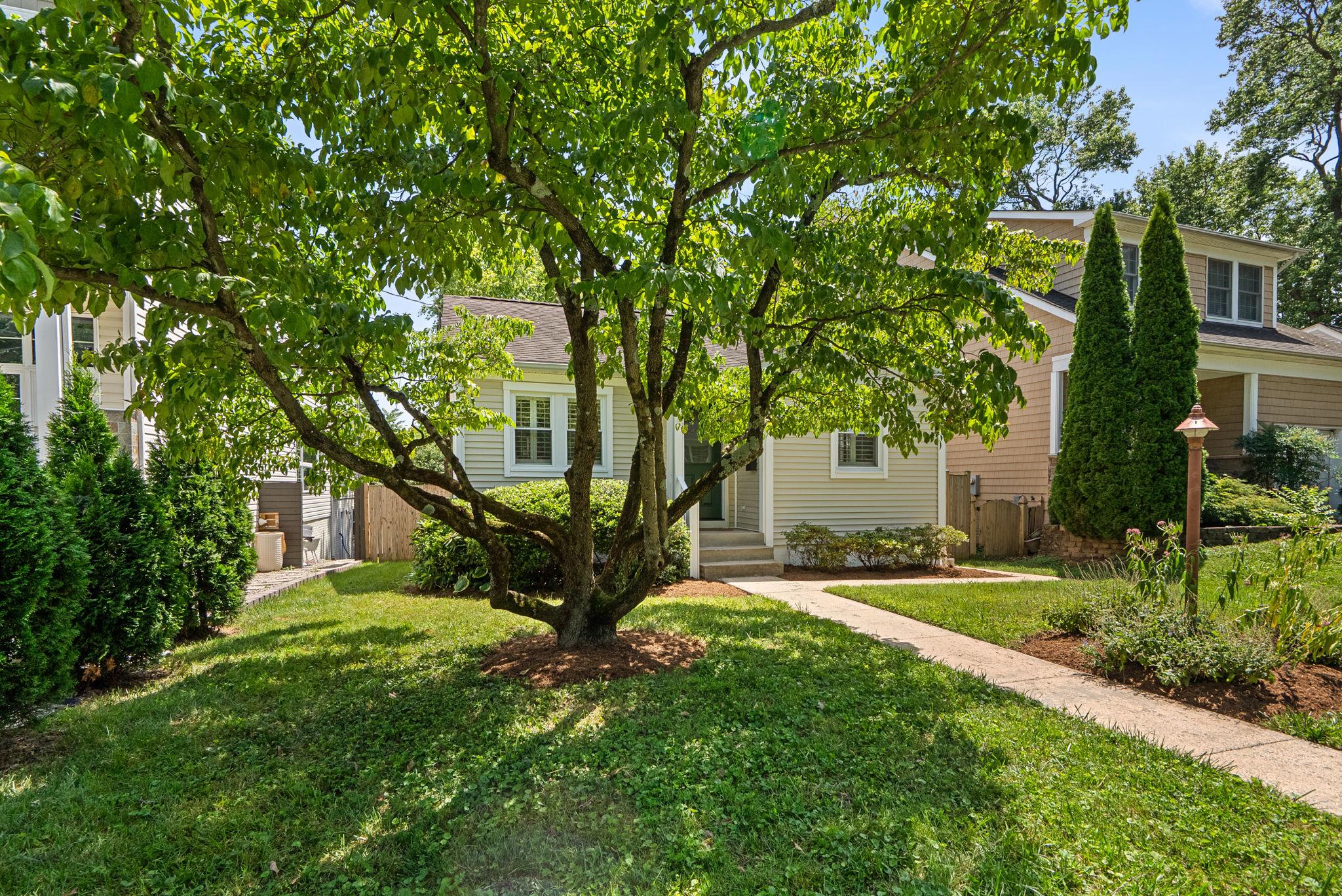 513 Park Rd Property Photo 3