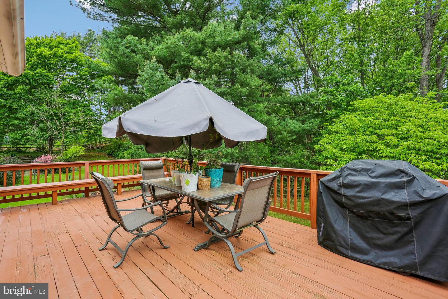 11301 Stryver Ct Property Photo 14