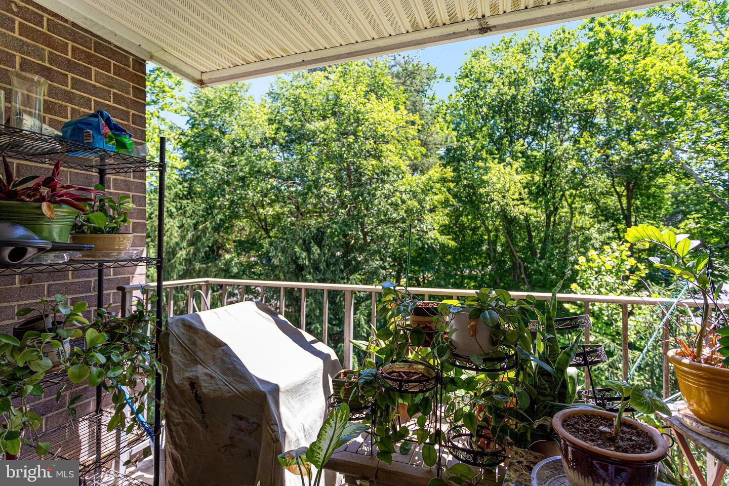 3854 Bel Pre Rd #13 Property Photo 14