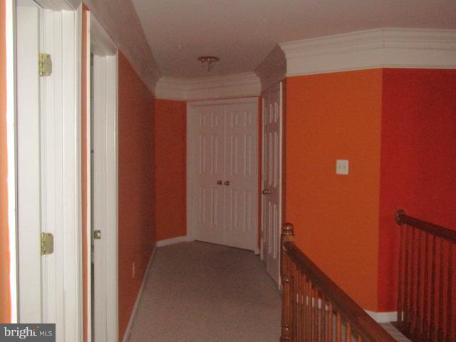 14713 Bubbling Spring Rd Property Photo 8
