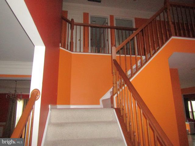 14713 Bubbling Spring Rd Property Photo 9