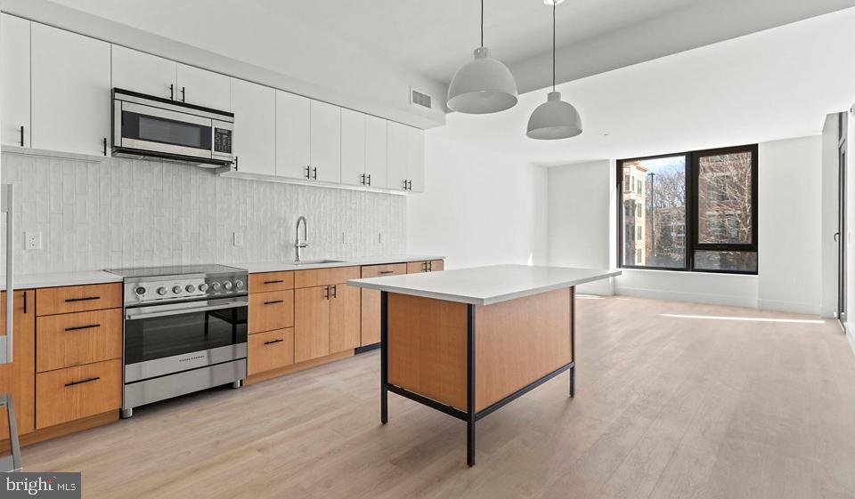 10511 Strathmore Hall St #206 Property Photo 9